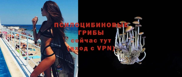 прущая мука Ельня