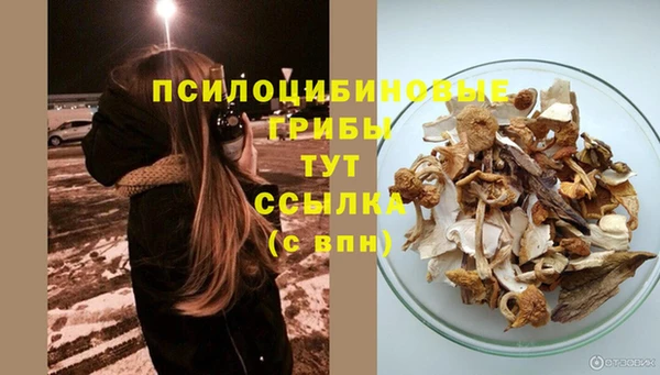 MESCALINE Заводоуковск
