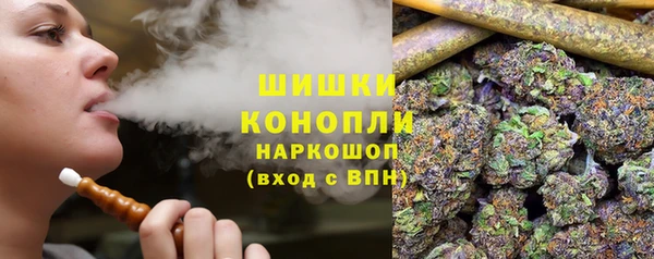 прущая мука Ельня