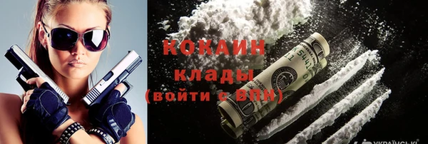 прущая мука Ельня